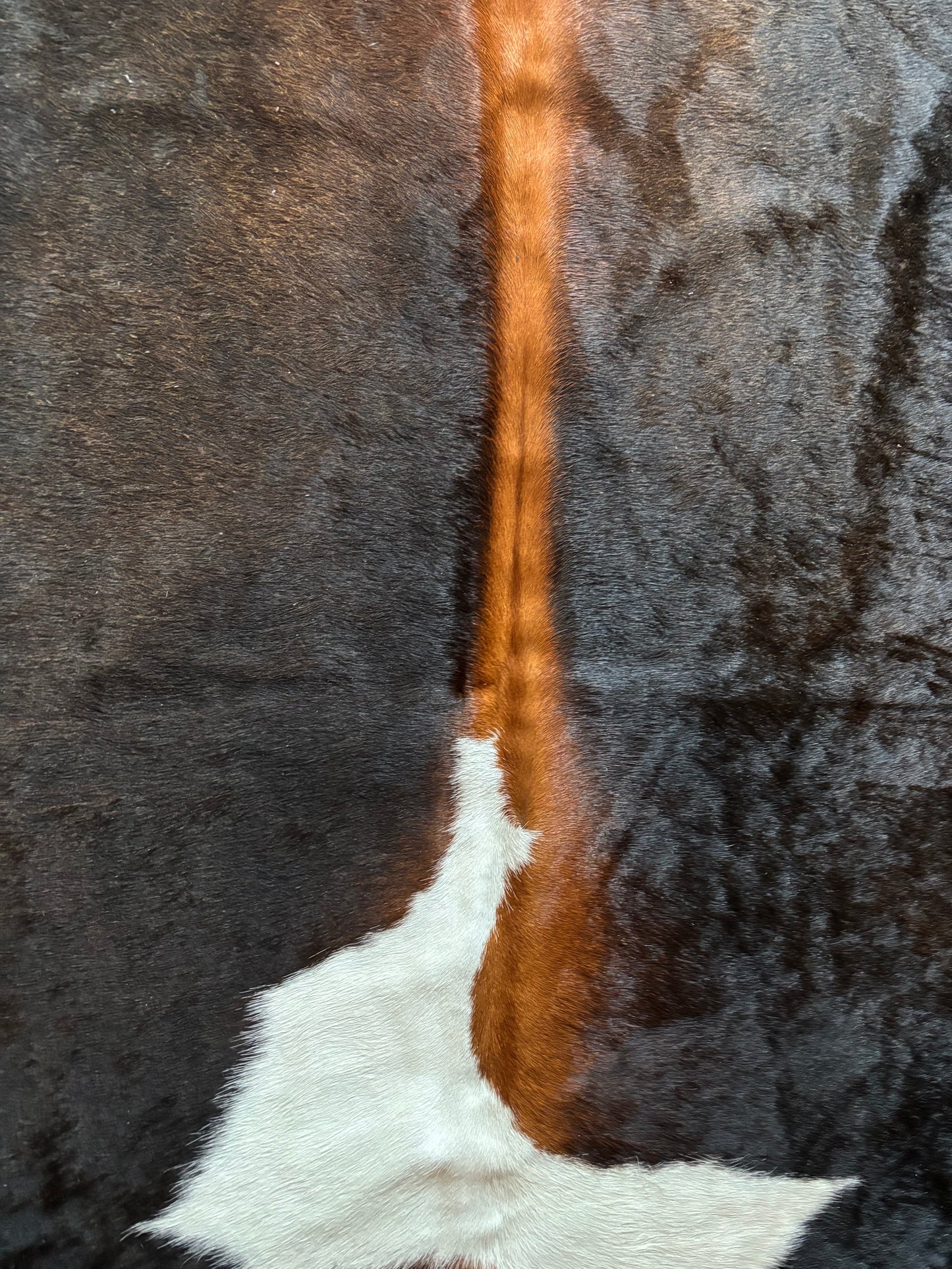 AAG2829 200x200cm