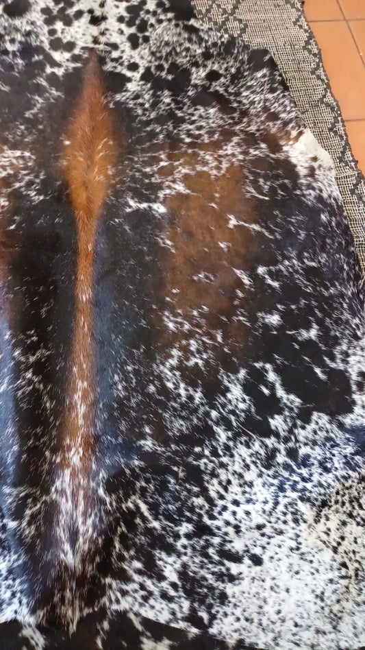 AGS4150 180x170cm